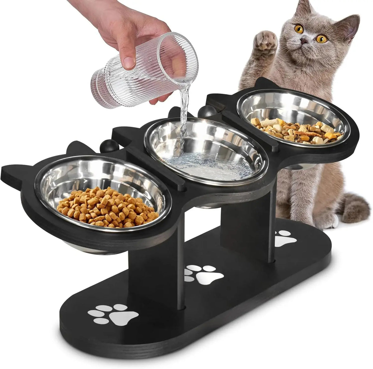 Elevated Cat Bowls with 15° Tilt & Adjustable Stand