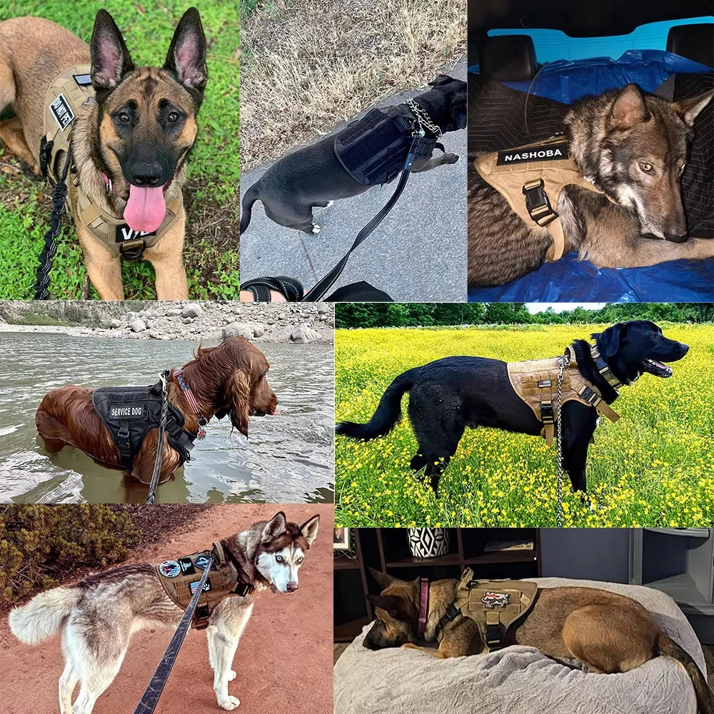 Tactical Dog Harness Set with Collar & Leash