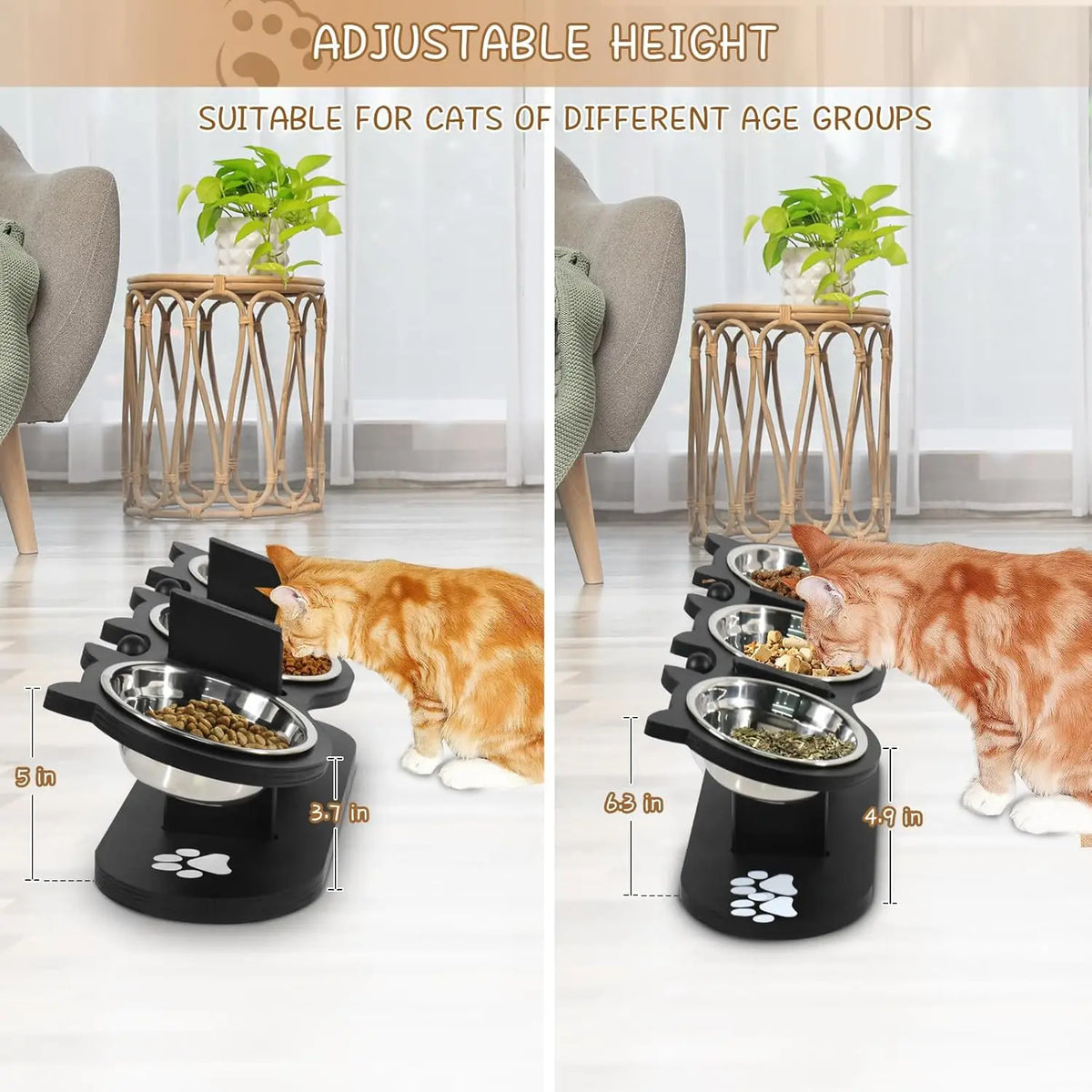 Elevated Cat Bowls with 15° Tilt & Adjustable Stand