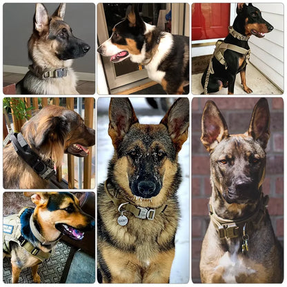 Adjustable Tactical Dog Collar & Leash Set
